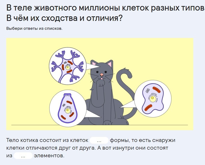 Пример задания по биологии в Учи.ру