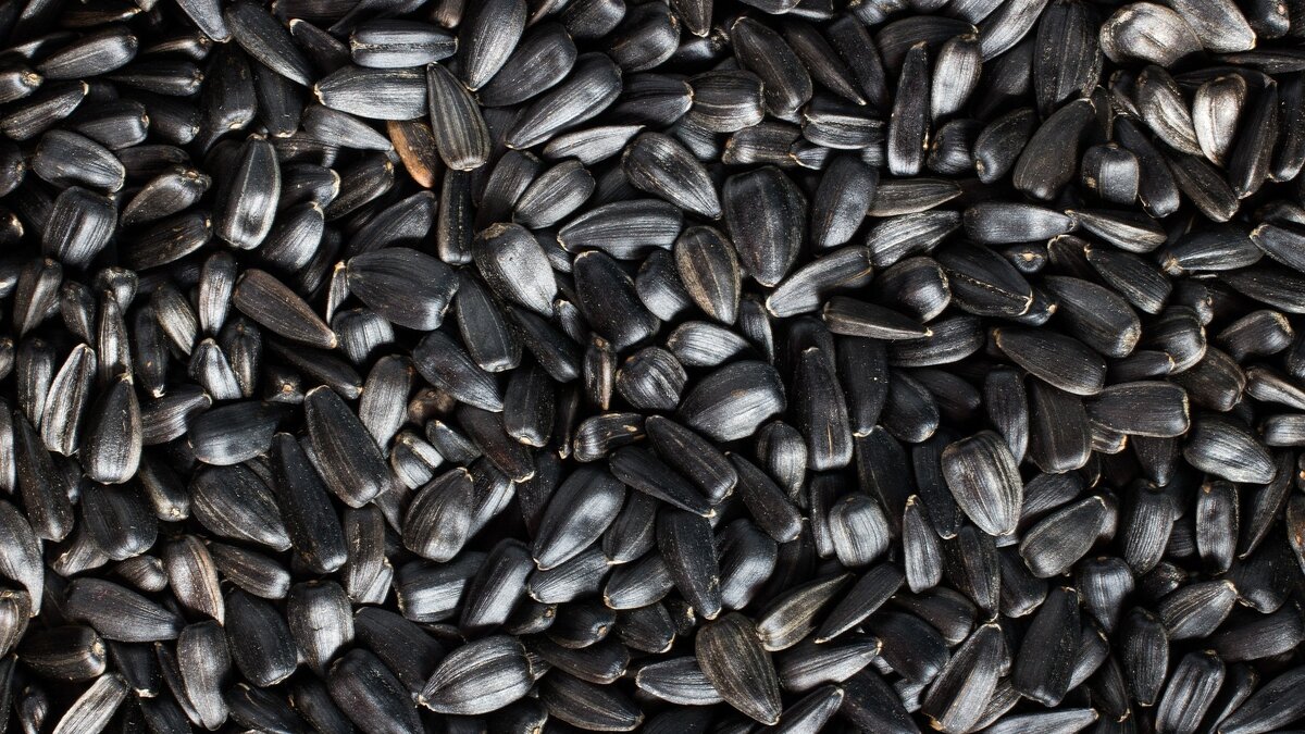     38-летний водитель компании «Сибагросоюз» провалился в яму, заполненную семенами, не смог выбраться и задохнулся.