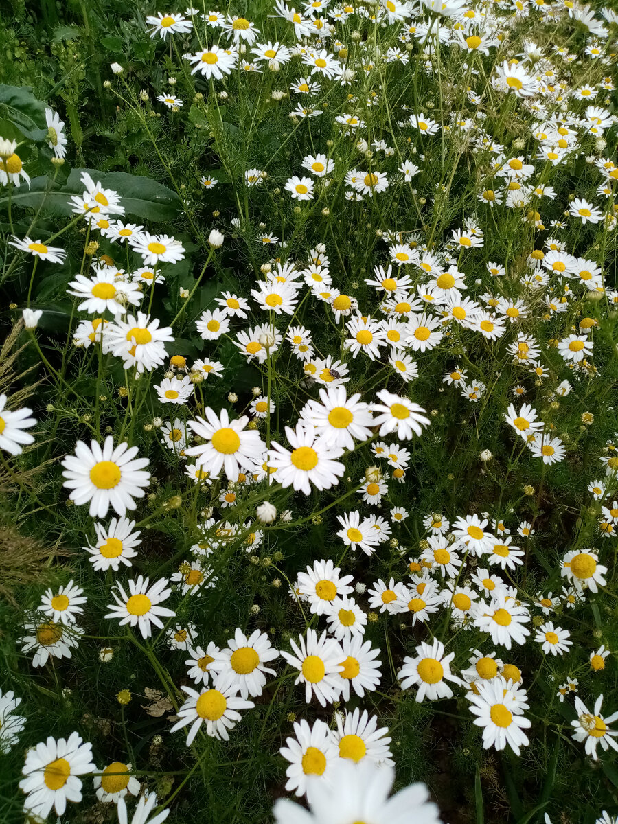 фото из личного архива