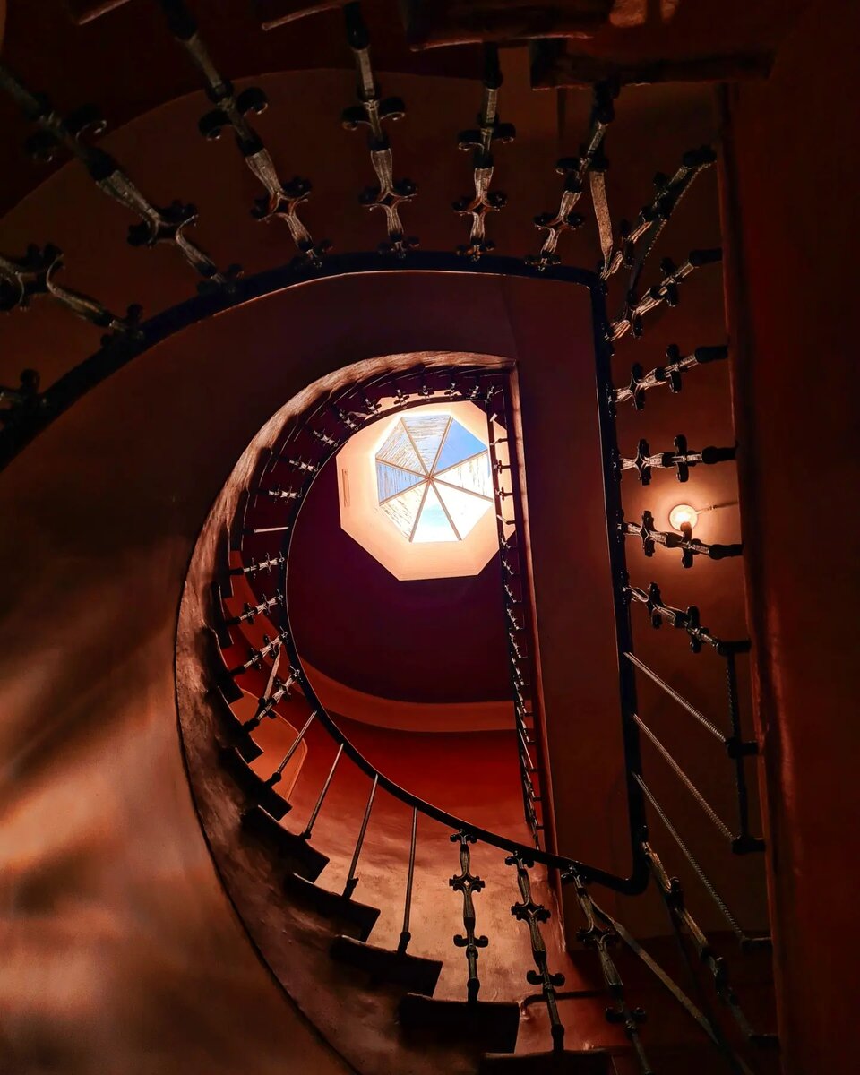 Фото: Парадная гостья