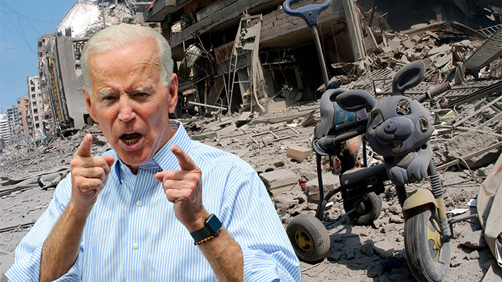 ФОТО: MATT SMITH PHOTOGRAPHER/SADIK GULEC/SHUTTERSTOCK 