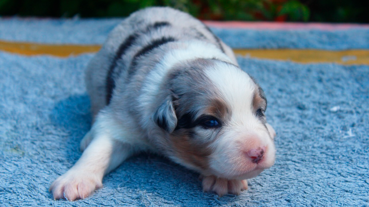 Маленькая Марси, одно из первых фото