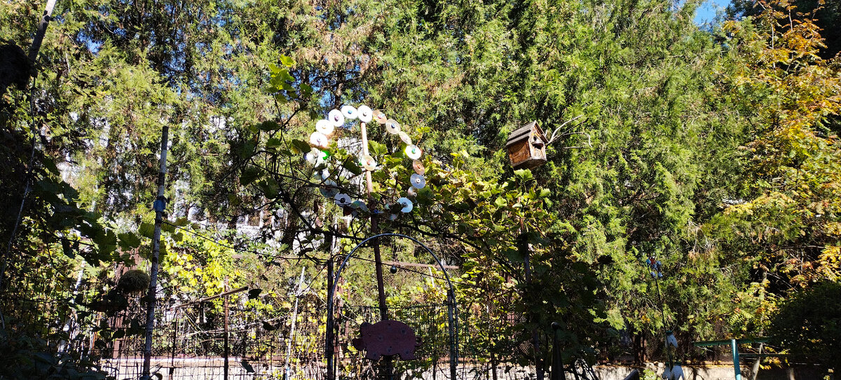 Фото автора канала