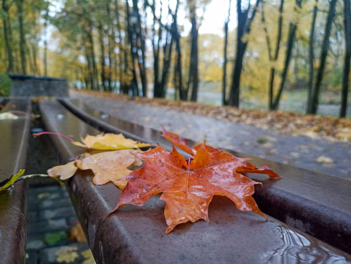 Лавочки, которые теперь свободны