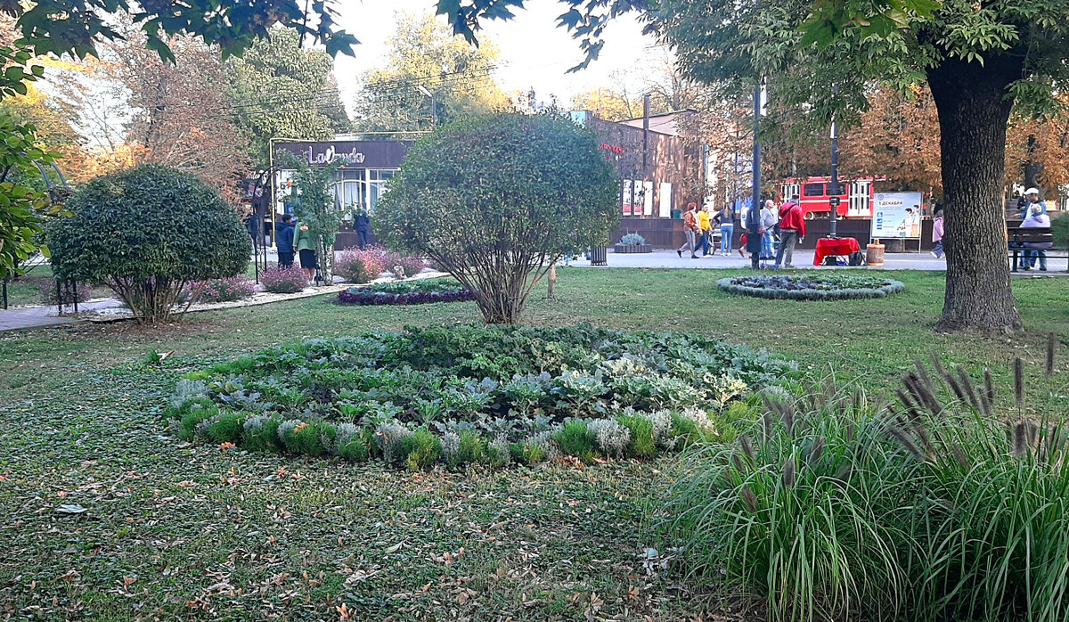 Круглые клумбы с различными видами декоративной капусты