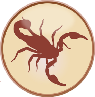 Изображение из открытого источника. Pixabay