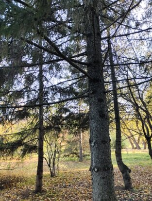 Фотография из личного архива автора