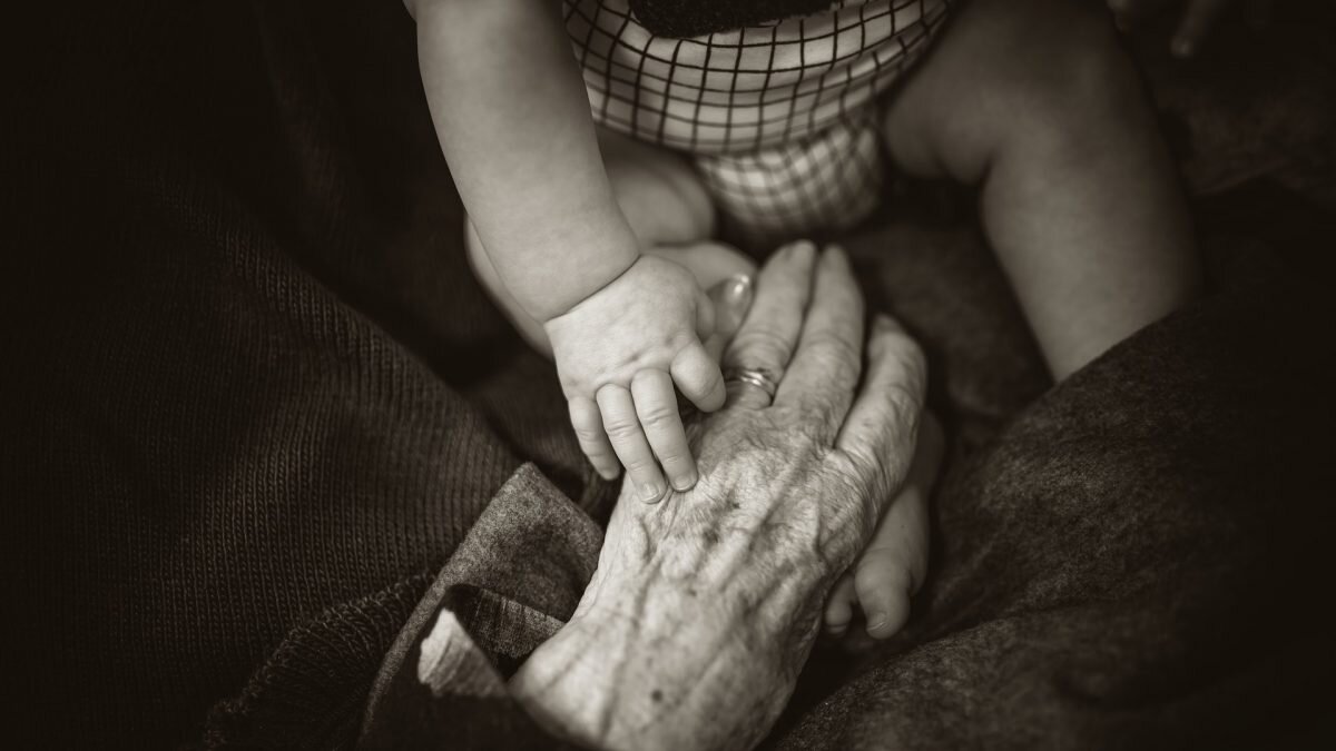    Фото: Unsplash Август Макаров