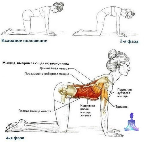 Добавьте описание