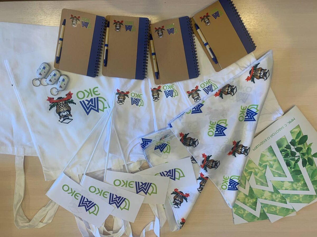 В Челябинске стартовал Первый Всероссийский Детский Экологический Форум, одним из партнёров которого стал Магнитогорский металлургический комбинат