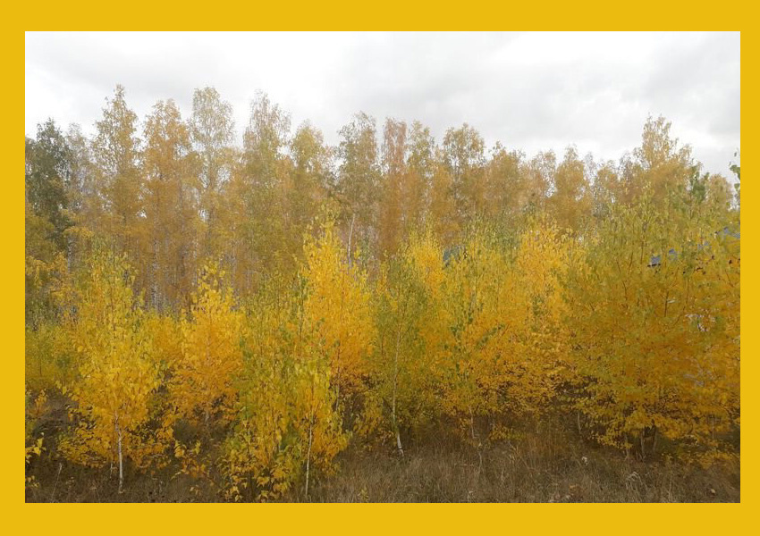 Самое красиво время года! Но скоро зима! - фото моё!