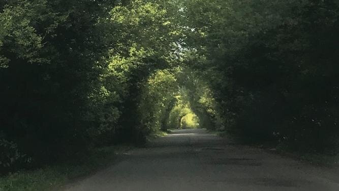 Природа Орловской области, близ дома моего друга