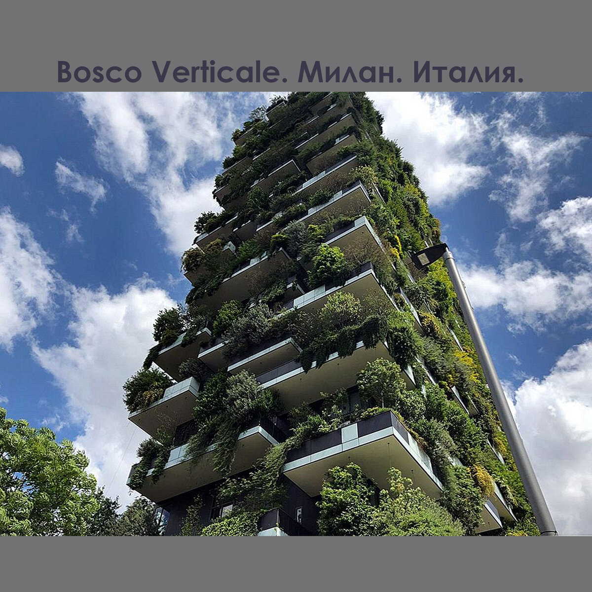 Вертикальный вид. Bosco verticale Милан. Миланский небоскреб Bosco verticale. Bosco verticale (вертикальный лес), Милан, Италия.. Небоскребы Bosco verticale («вертикальный лес»).