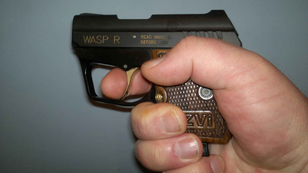 WASP-R