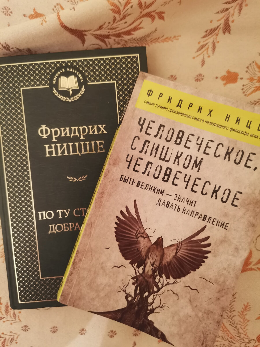«Человеческое, слишком человеческое. Книга для свободных умов» — философская работа немецкого философа Фридриха Ницше. Быть великим - значит давать направление. Издательство - Москва 2021
