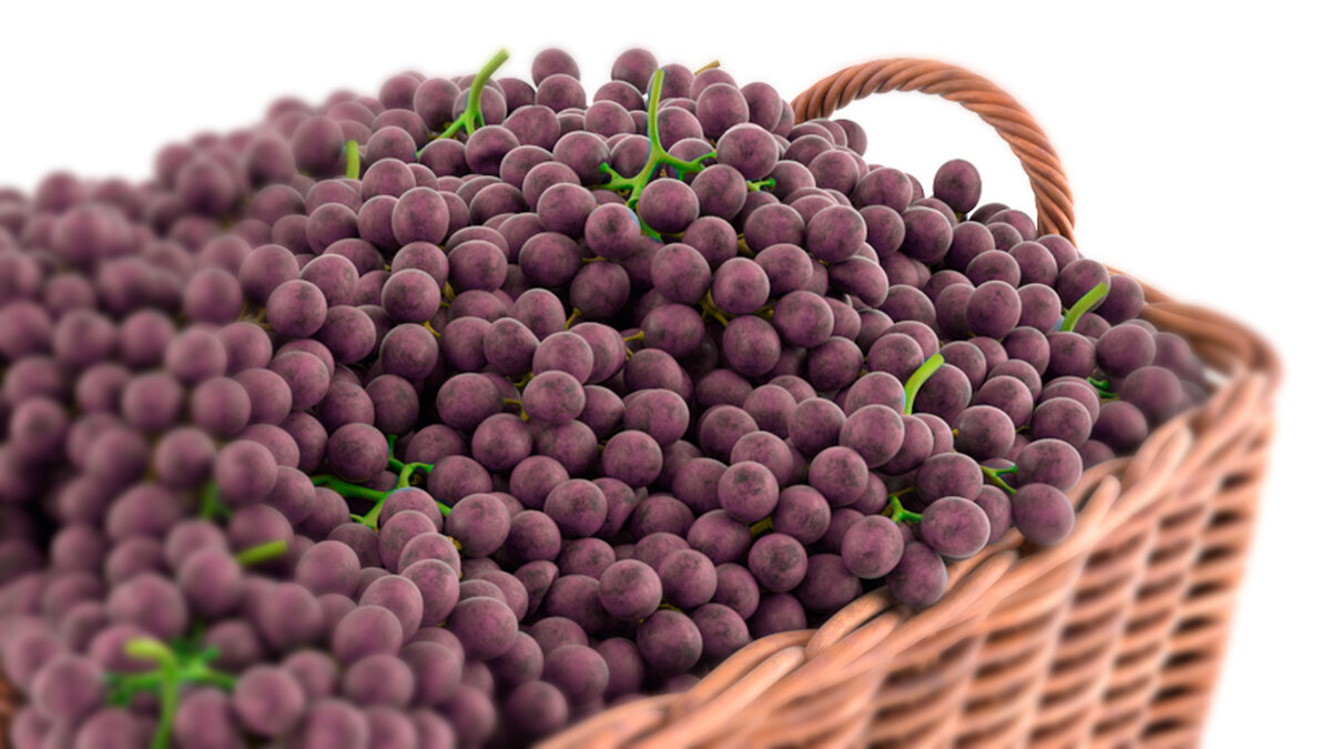 Таможенное оформление винограда