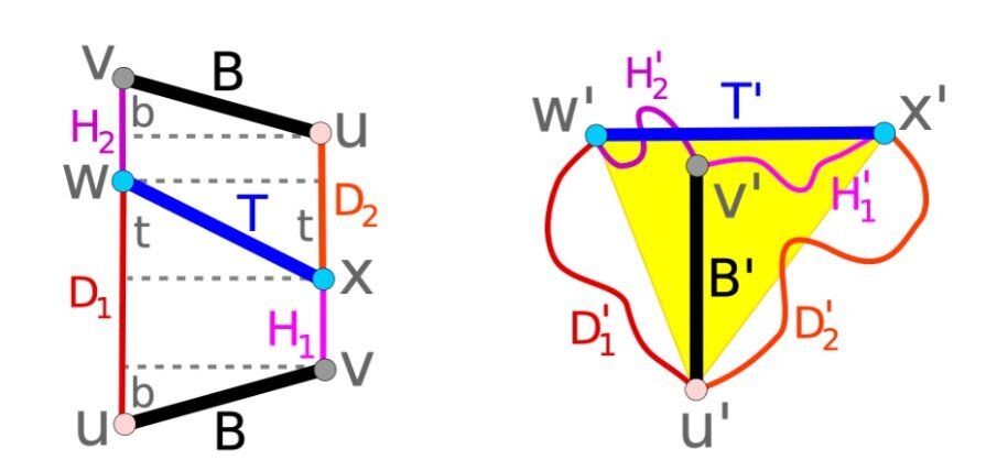 Если разрезать ленту Мёбиуса (справа), то получится трапециоид (слева) Schwartz/arXiv