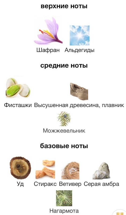 Изображение взято с сайта https://www.fragrantica.ru