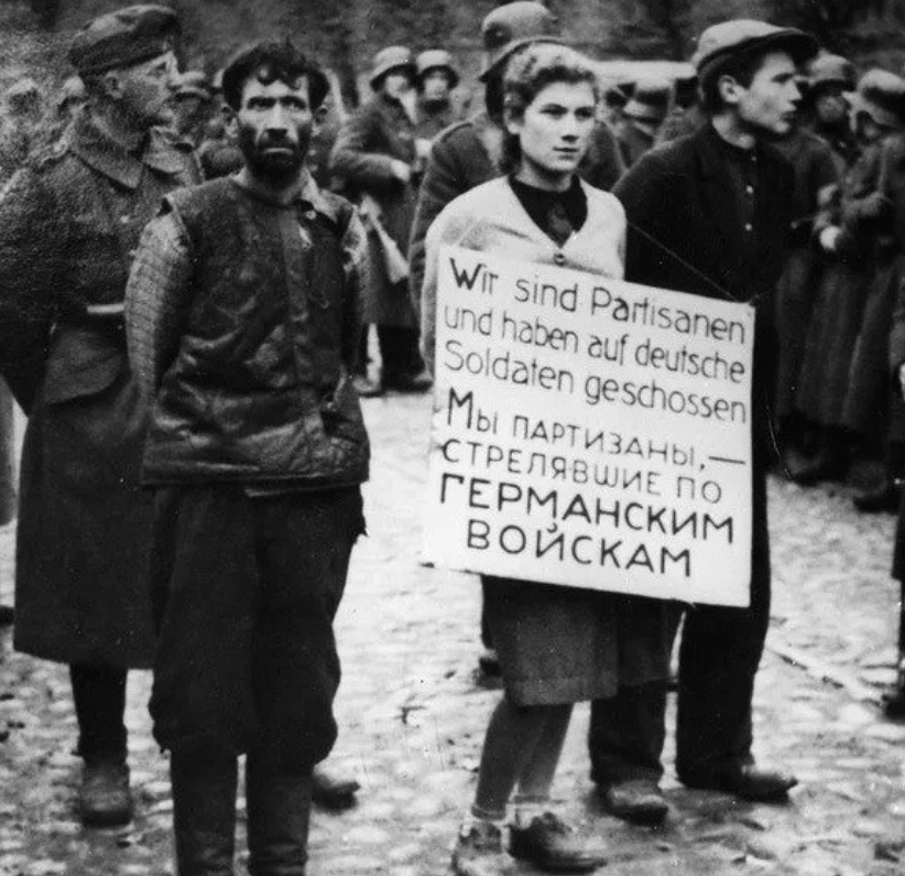 Фото в свободном доступе 