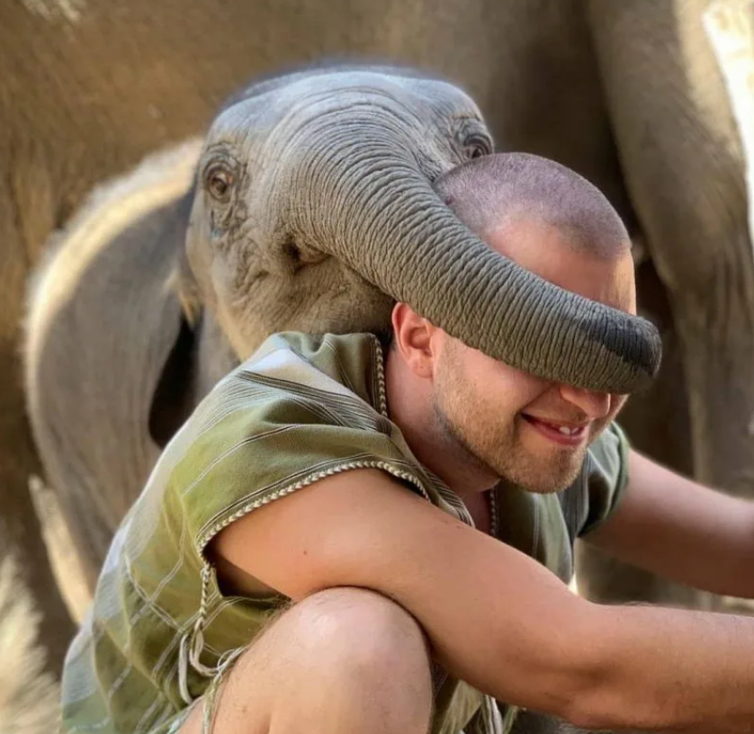 Слоны - это крайне умные животные, которые устанавливают крепкие связи со своими семьями, состоящими только из женских особей. Самцы уходят в одиночестве.-8