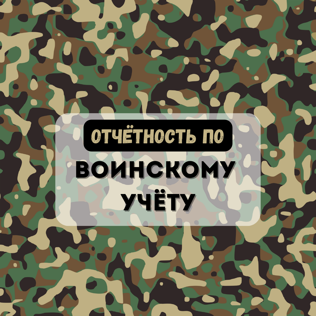 Какую отчётность нужно сдавать в военкомат. Обязательные и дополнительные  формы отчётов по воинскому учёту | Бухгалтером может стать каждый | Дзен