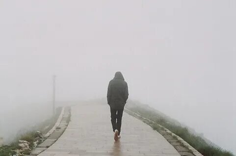 Картинка из открытых источников и принадлежит автору