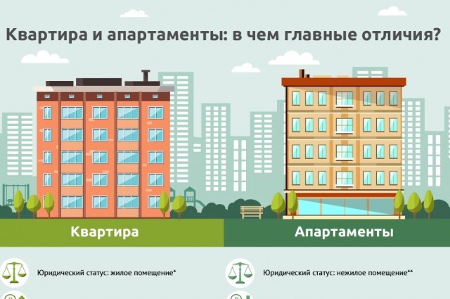    Квартира и апартаменты: в чем главные отличия? Инфографика