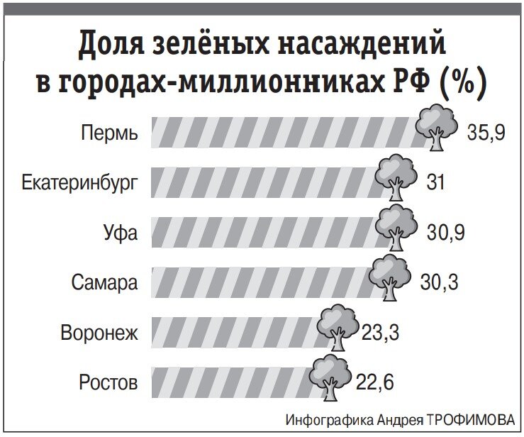    Доля зеленых насаждений в Ростове, парк дружба, парки Ростова Фото: АиФ-Ростов/ Андрей Трофимов