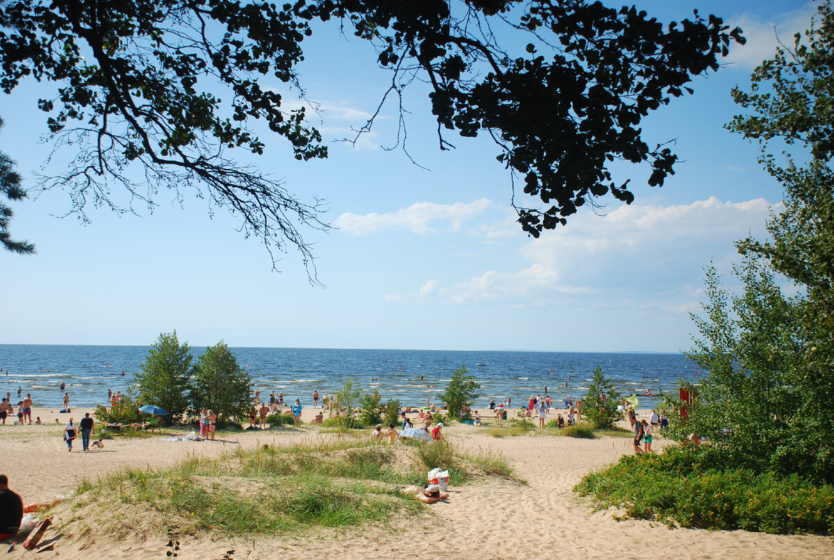 
Территория санатория "Сестрорецкий курорт" закрыта: чтобы там отдохнуть и подлечиться, надо покупать путёвки. Однако если вы к этому  не готовы, а лишь жаждете солнечных ванн и купания в Финском заливе (последнее не рекомендуется, но кого это останавливает?-)), то лучше всего (если выбрана электричка) брать билет до станции "Курорт" (следующая за станцией "Сестрорецк"). Оттуда до моря ближе всего - минут 5-7 пешком (хотя дорожка вдоль забора санатория, увы, завалена фантиками, окурками, пустыми бутылками всех видов, и потому малоприятна. Кто виноват и что делать - вопросы риторические. Чисто не там, где убирают, а там, где не мусорят.)