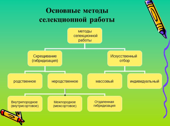 Солдаты (телесериал) — Википедия