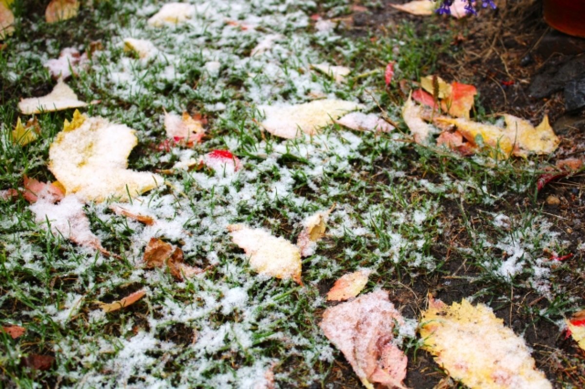    В Башкирии ожидаются мокрый снег и гололедица