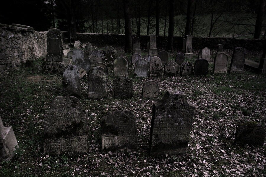 Изображение взято из открытых источников интернета. 