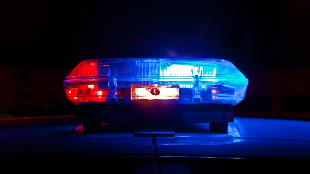    Фото: UNsplash Август Макаров