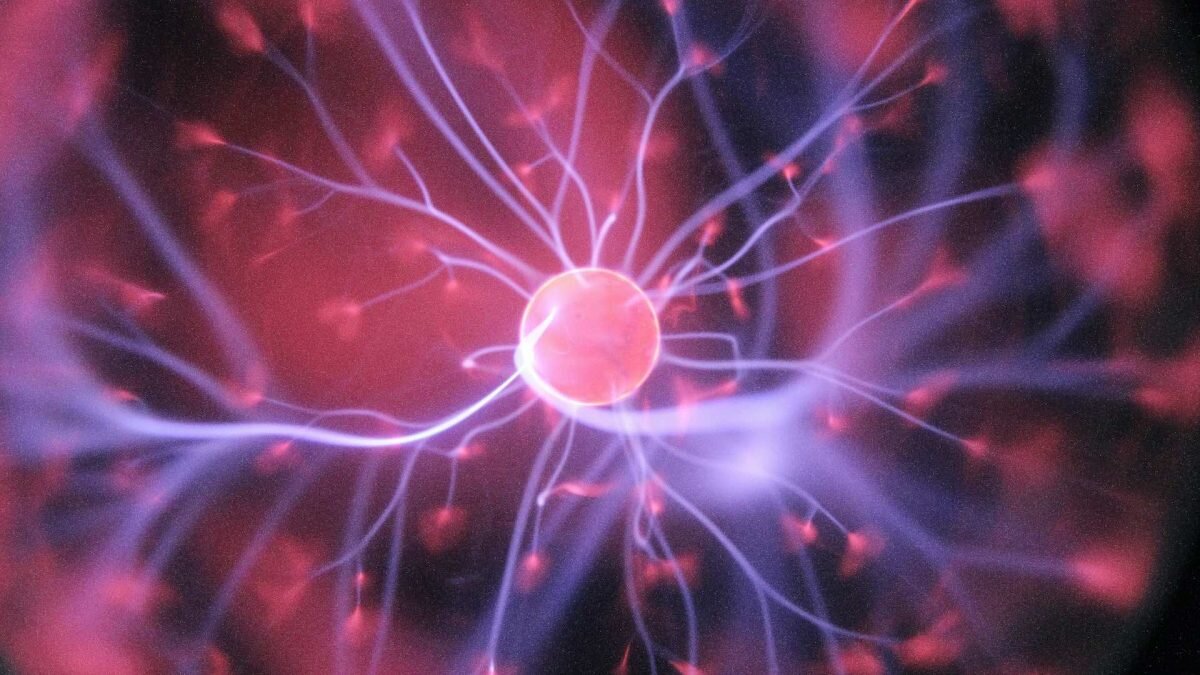    Фото: Unsplash Август Макаров