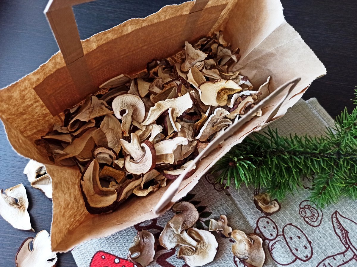 Блюда из сушеных грибов — 35 рецептов с фото. Как приготовить сушеные грибы?