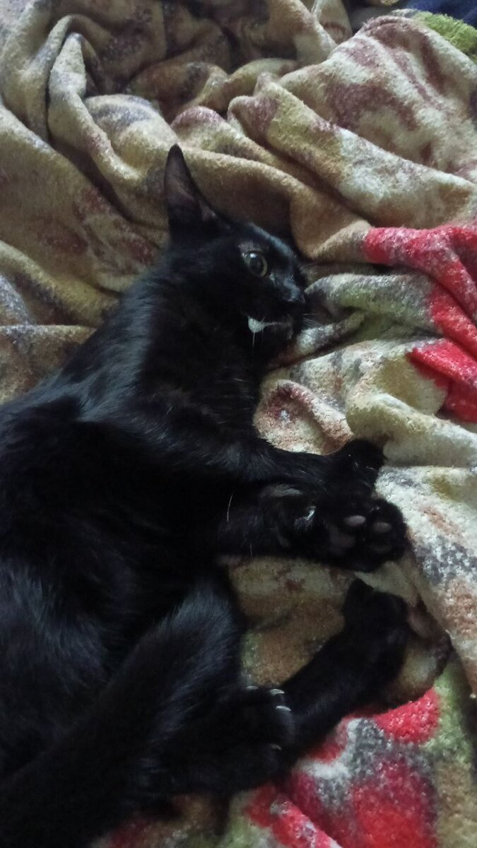 Извиняюсь за качество фото сделано в спешке на телефон. 