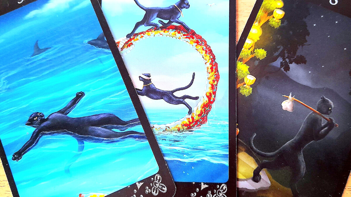 9 Чаш, Колесо Фортуны X, 8 Чаш