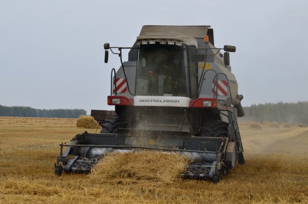    Уборочная кампания в Алтайском крае входит в завершающую стадию
