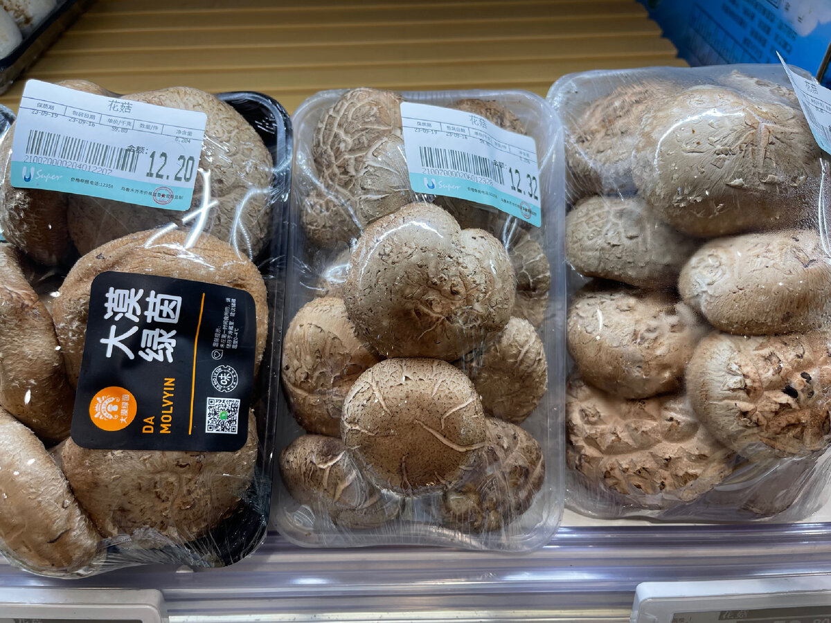 Грибы шиитаке