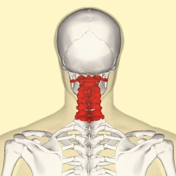 Изображение из поисковой сети Яндекс