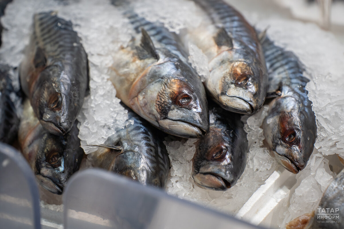 На доверии татарстанцев решили заработать через «рыбный бизнес». Фото: © Владимир Васильев / «Татар-информ»