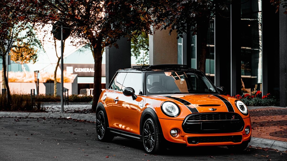    Эксперт ответил, где покупать машинное масло © Unsplash / Devon Janse van Rensburg