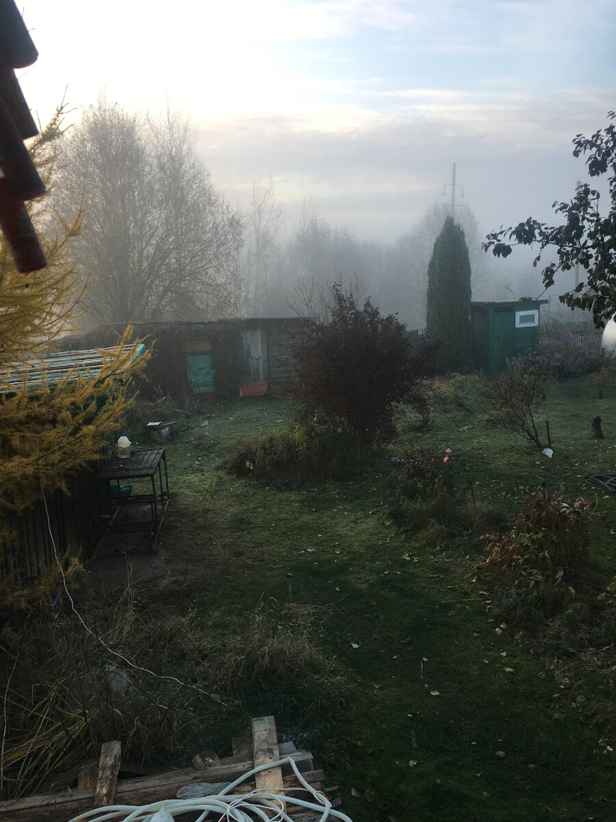 вот такие туманы по утрам