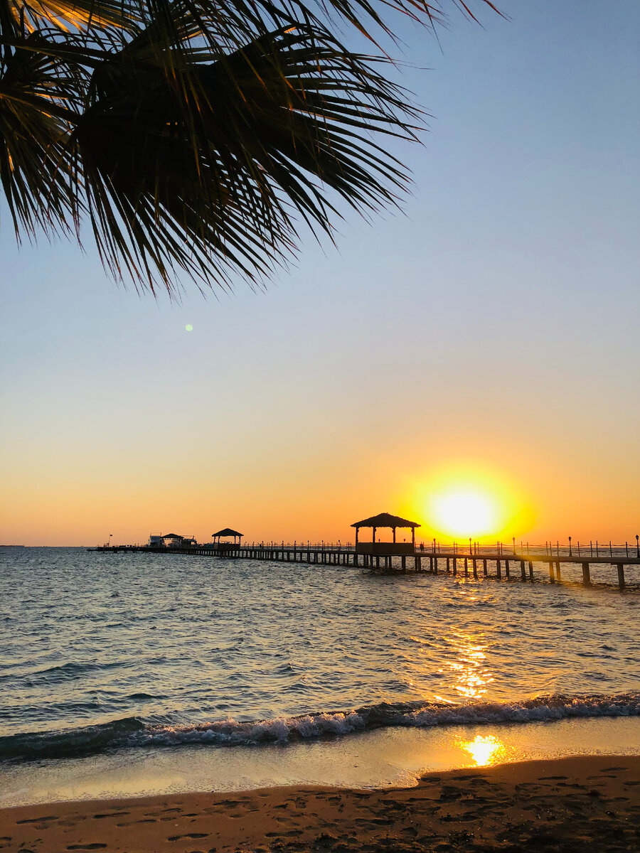 мои фото из Египта