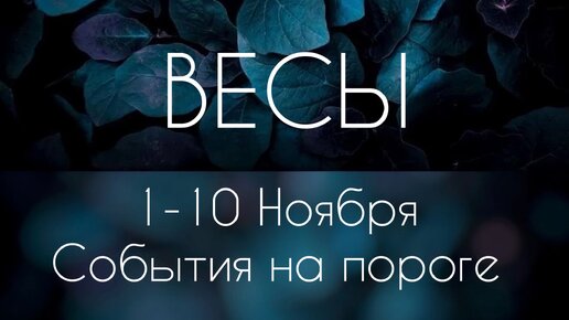 Весы ♎️ Что произойдет с 1 по 10 Ноября?