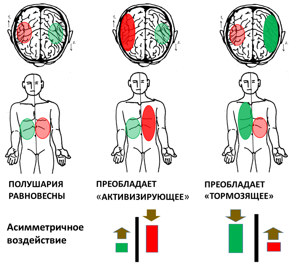Как схематично выглядит асимметричное воздействие. Пояснения  в тексте.