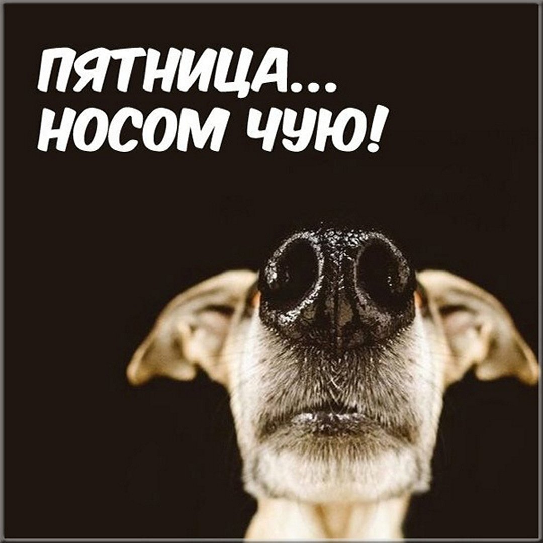 Яндекс картинки