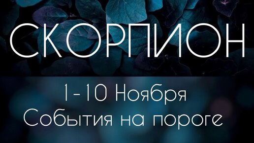 Скорпион ♏️ Что произойдет с 1 по 10 Ноября?