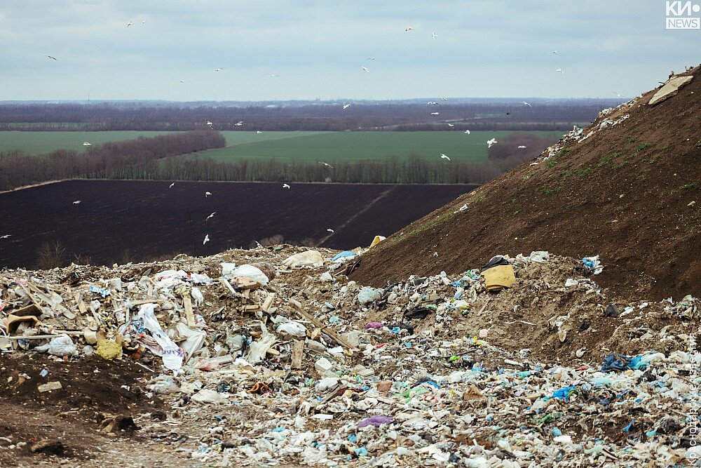 Фото: Денис Яковлев, «Краснодарские известия»