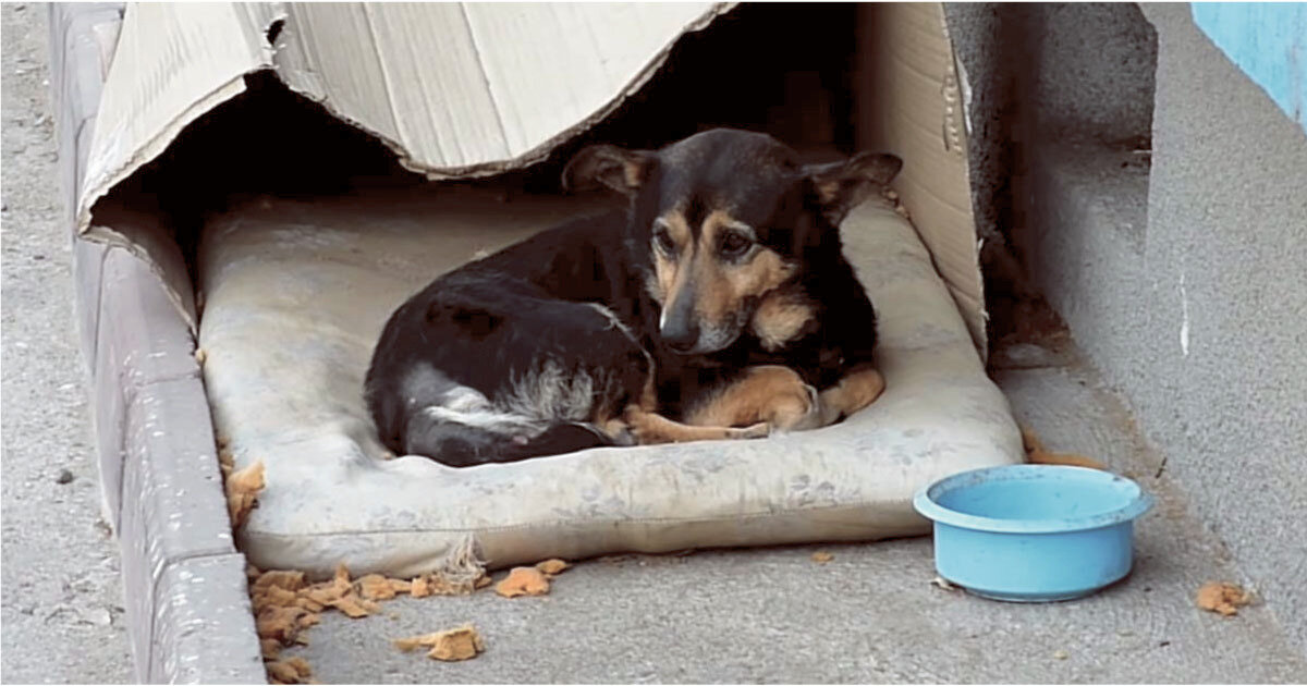 Фото с открытых источников